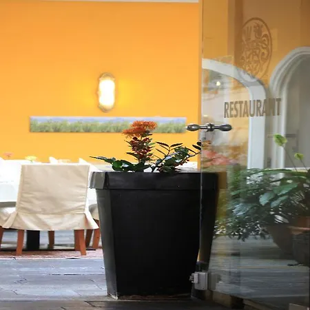 Hotel Boutique Dom - & 4*